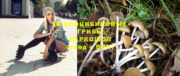 мяу мяу мука Гусиноозёрск