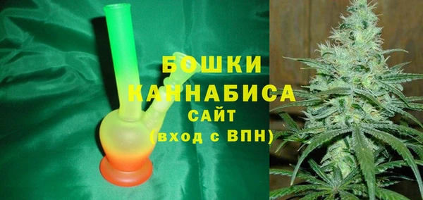 spice Гусев