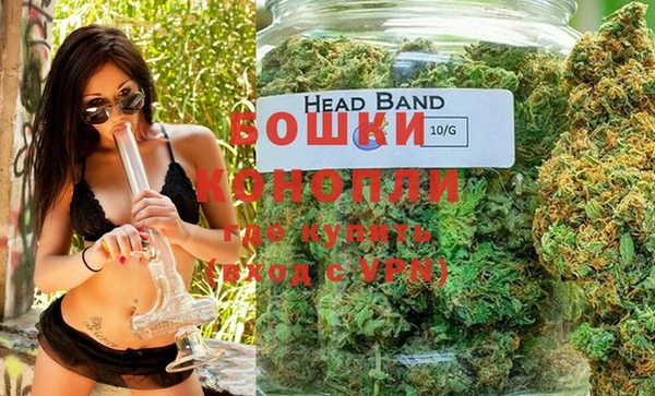spice Гусев