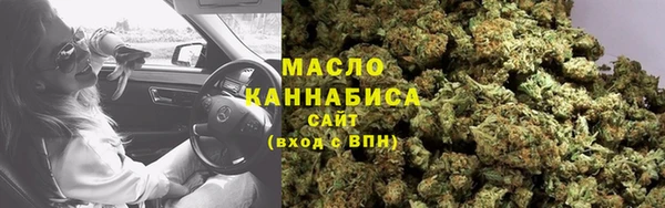 spice Гусев